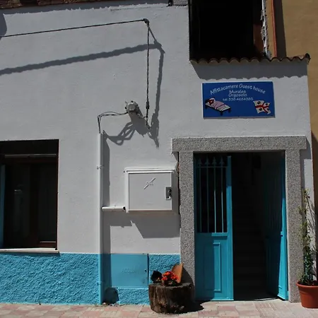 Bed And Breakfast Murales Orgosolo-2